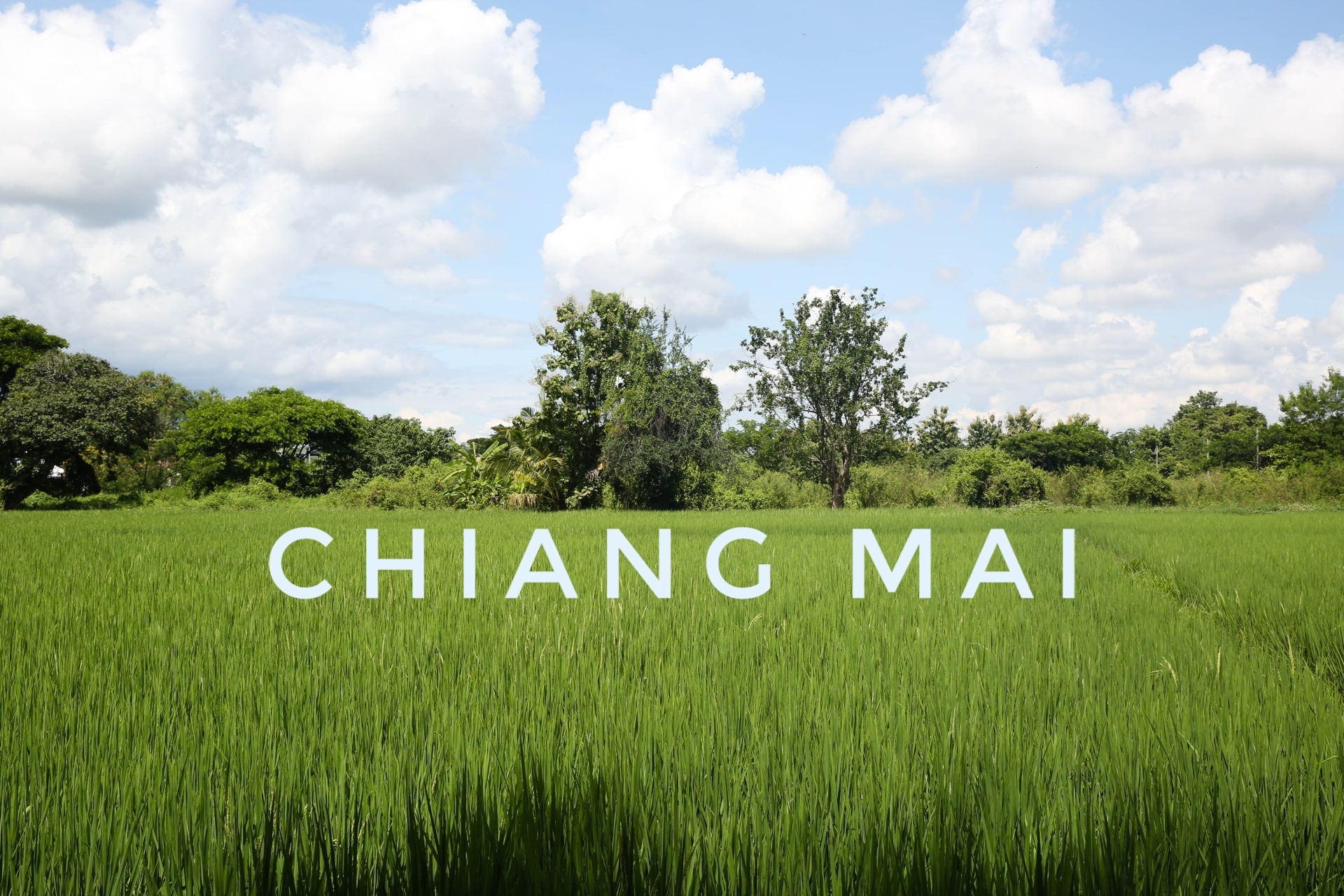 Chiang Mai Digital Nomads