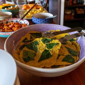 vegan yoga retreat