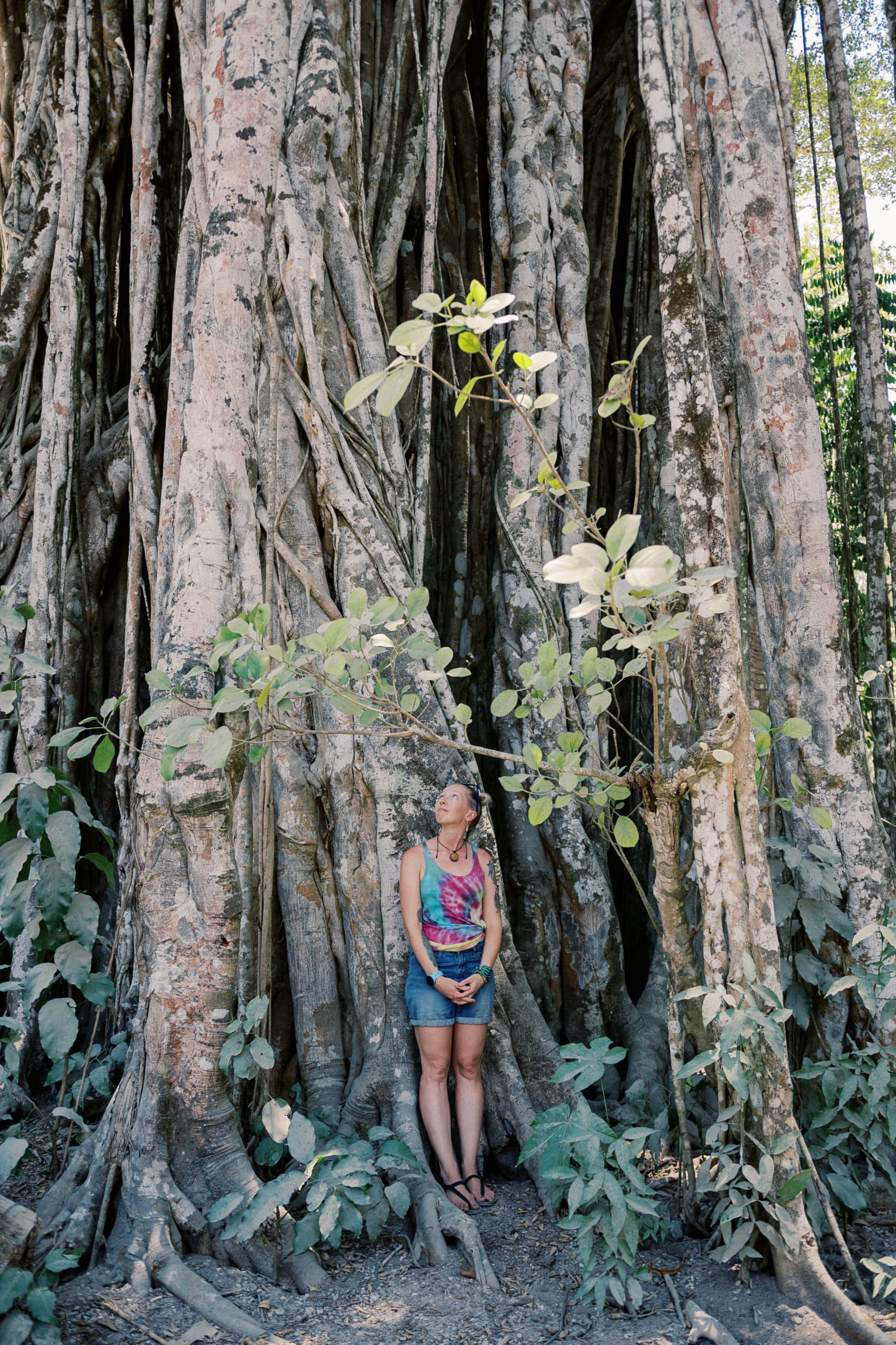 costa rica jungle yoga retreat montezuma sanctuary