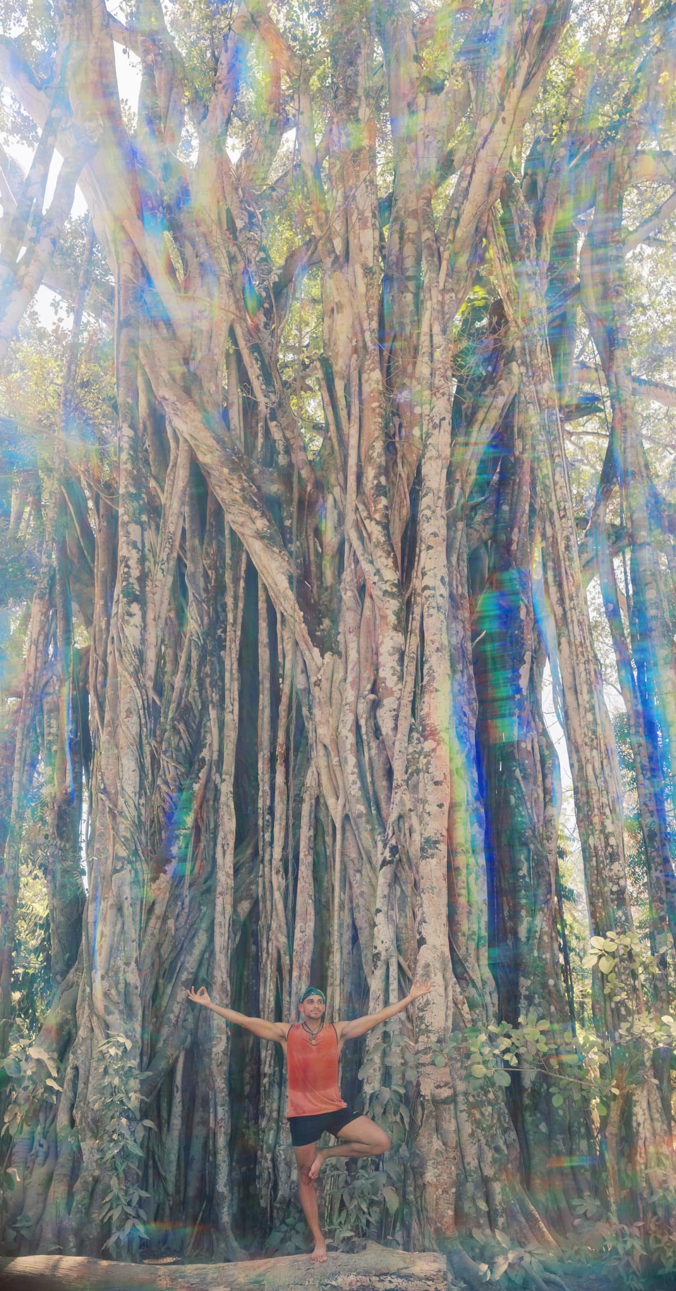 costa rica jungle yoga retreat montezuma sanctuary