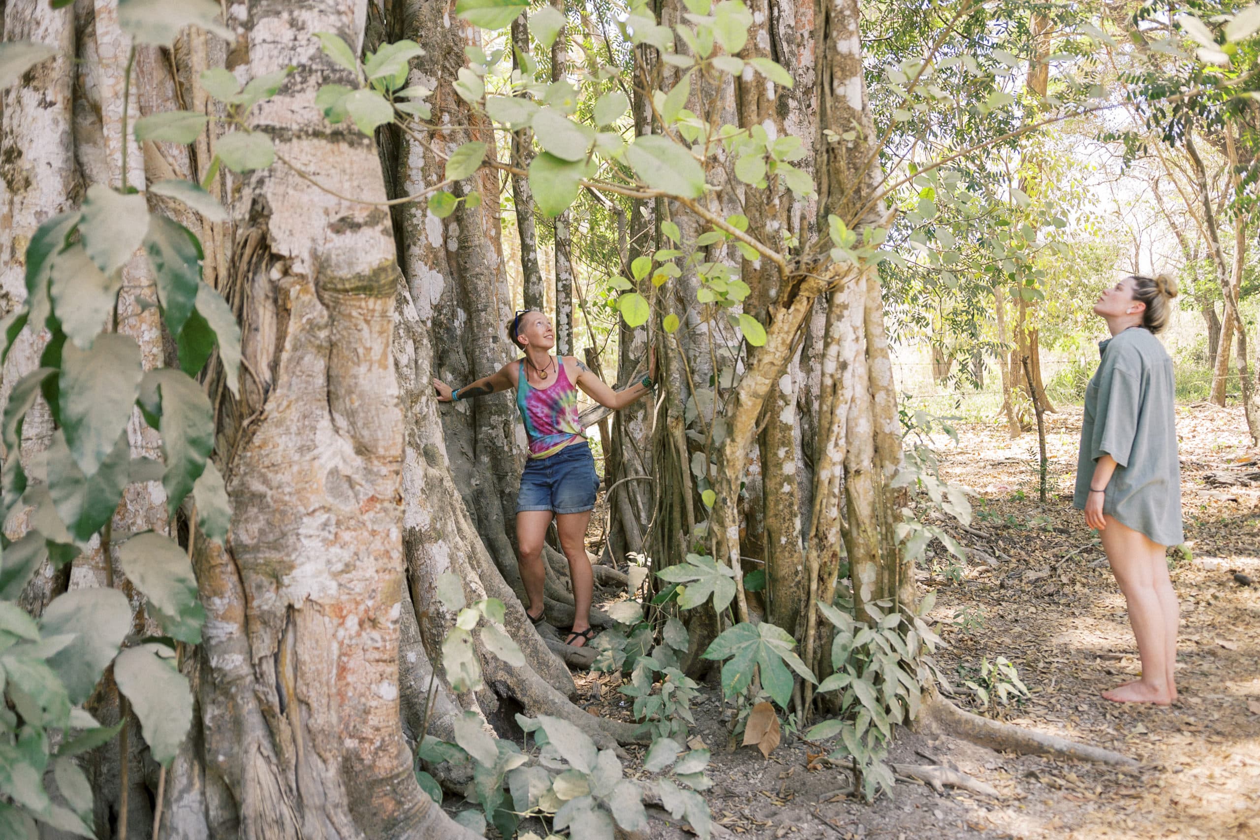 costa rica jungle yoga retreat montezuma sanctuary