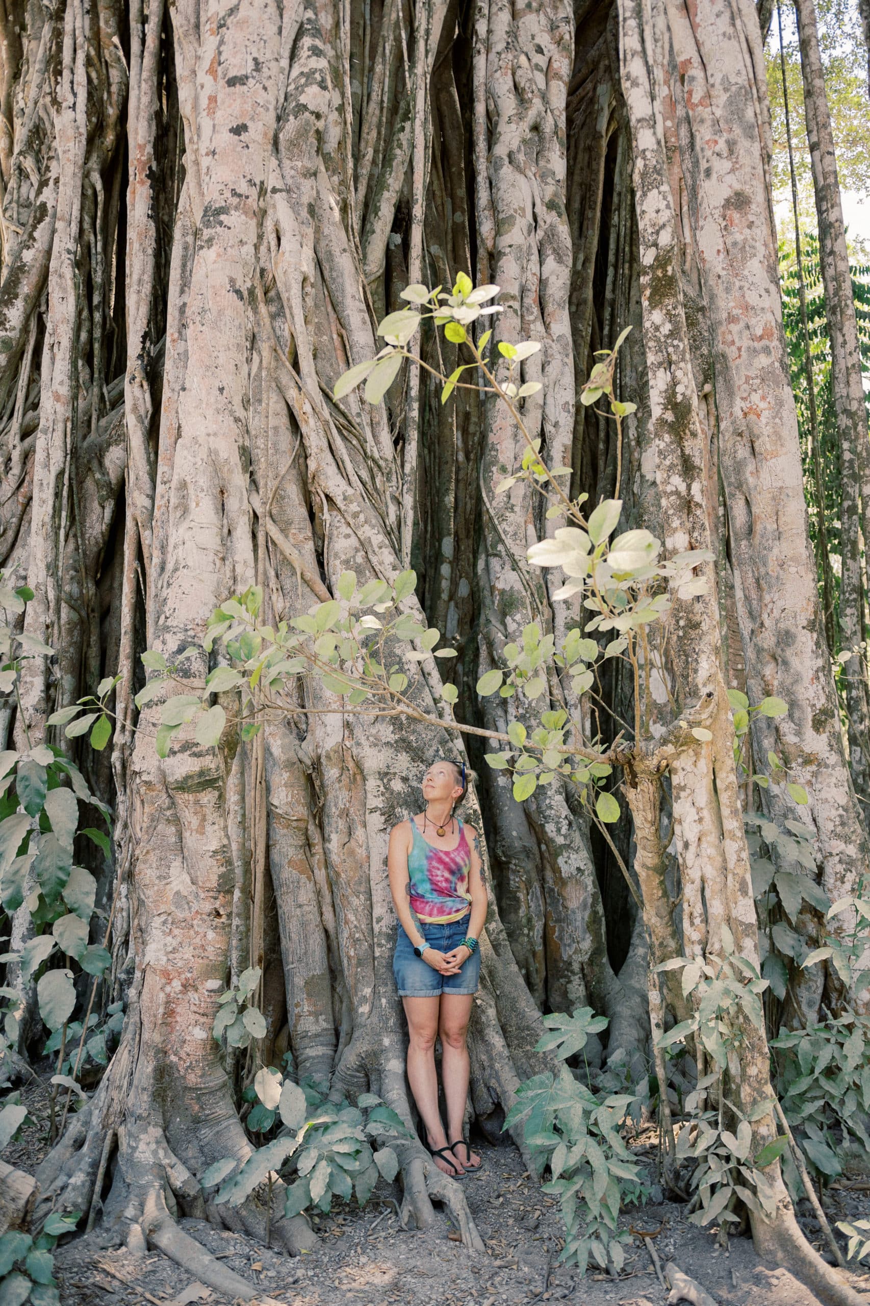 costa rica jungle yoga retreat montezuma sanctuary