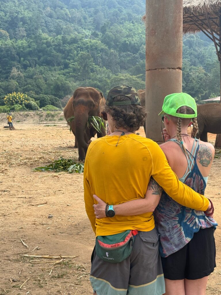 elephants in thailand retreat