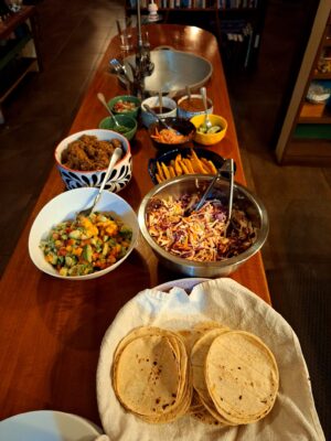 Ayurvedic wellness consultation for optimal diet and health
