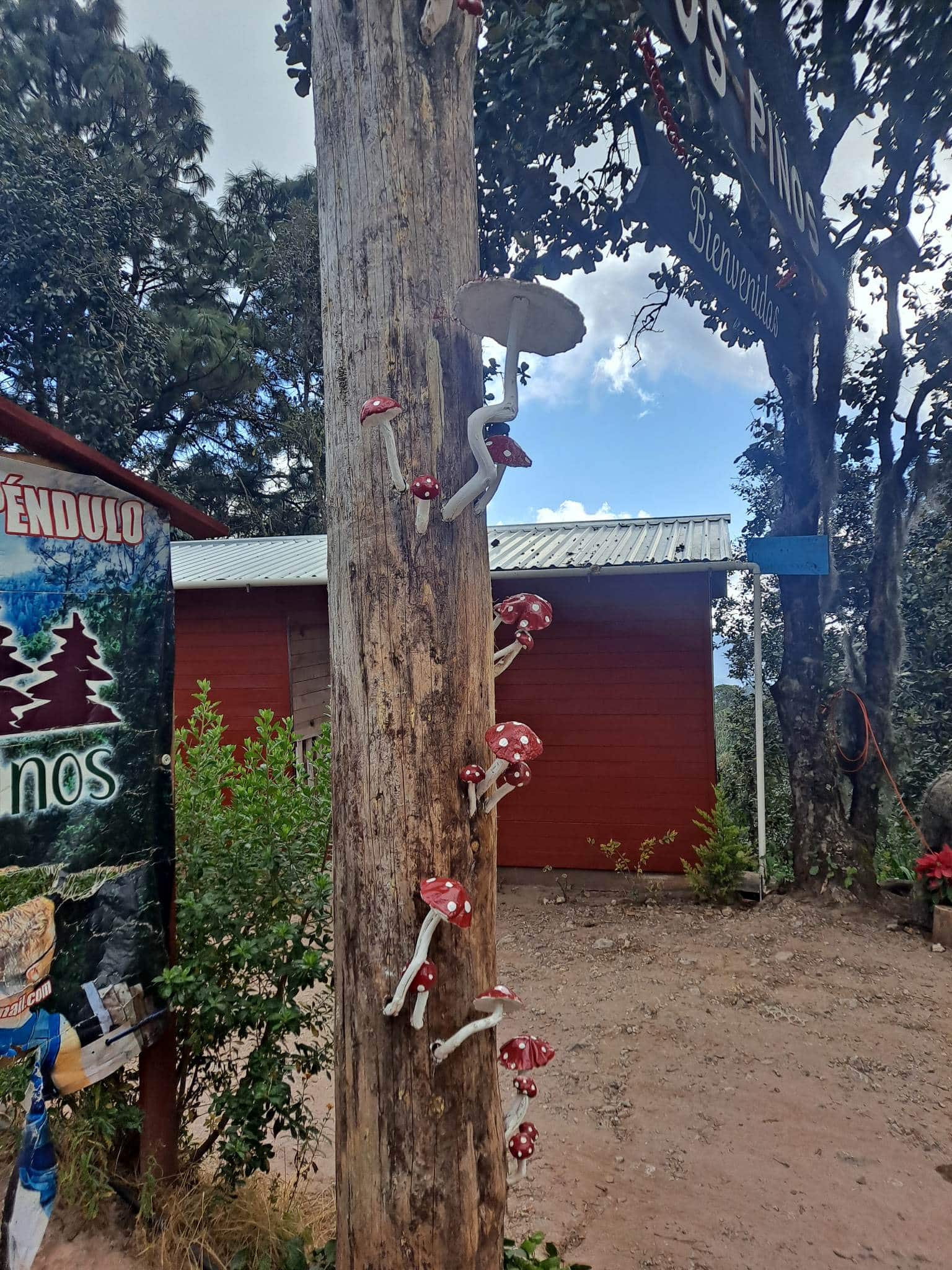 not magic mushrooms but this is the coolest way to recreate them I think as the real ones are not as purdy.