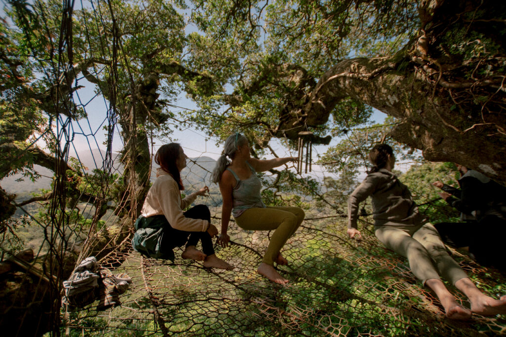 tree net tree climbing yoga adventure international