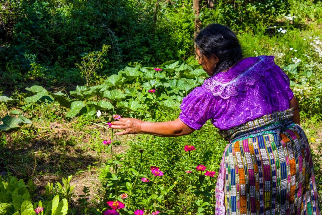 Mayan woman with native plant medicines in Guatemala