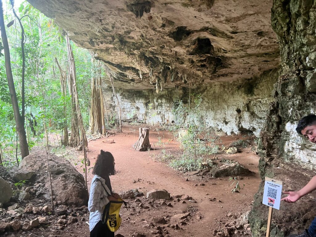 beer tour valladolid mexico