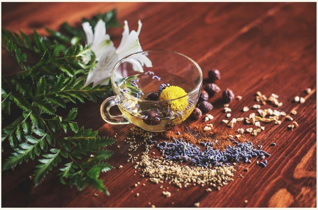 Ayurvedic herbs for finding balance in body and mind