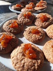 Upcoming plant based yoga retreats open for booking