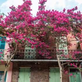 New Orleans yoga retreat