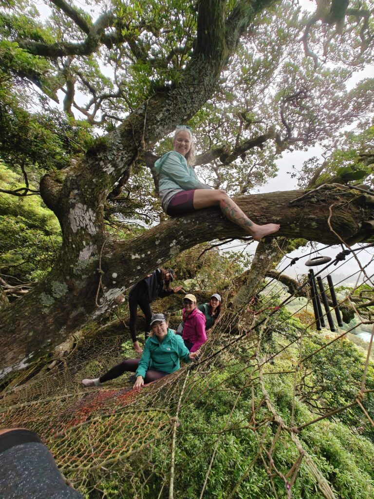 wellness retreat costa rica tree net climb