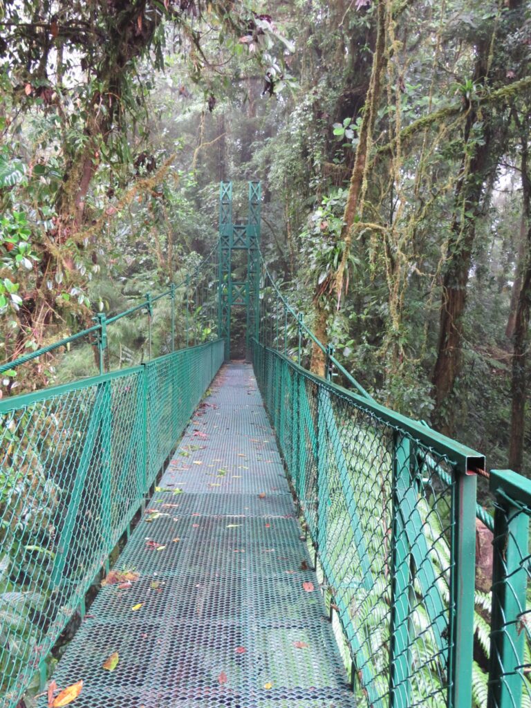 bridge on ropes course in monteverde yoga retreat