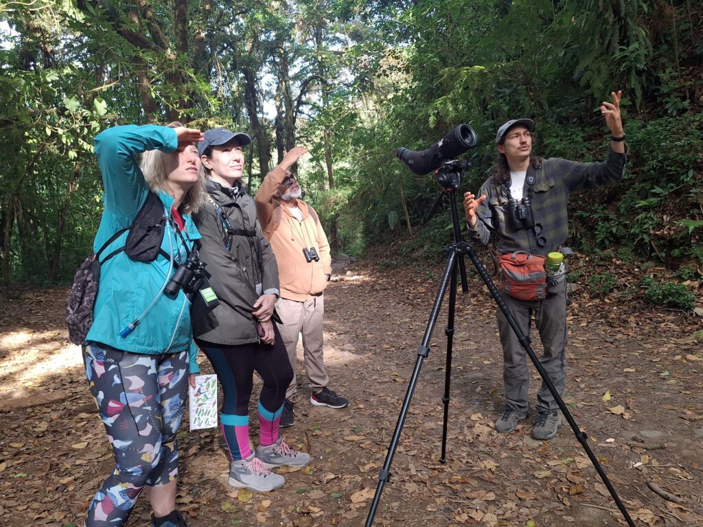 bird watching monteverde costa rica alcohol free sober retreat