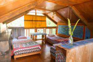 yoga training mystical yoga farm