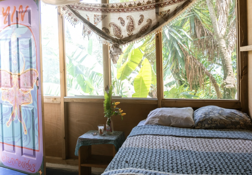 yoga teacher training mystical yoga farm