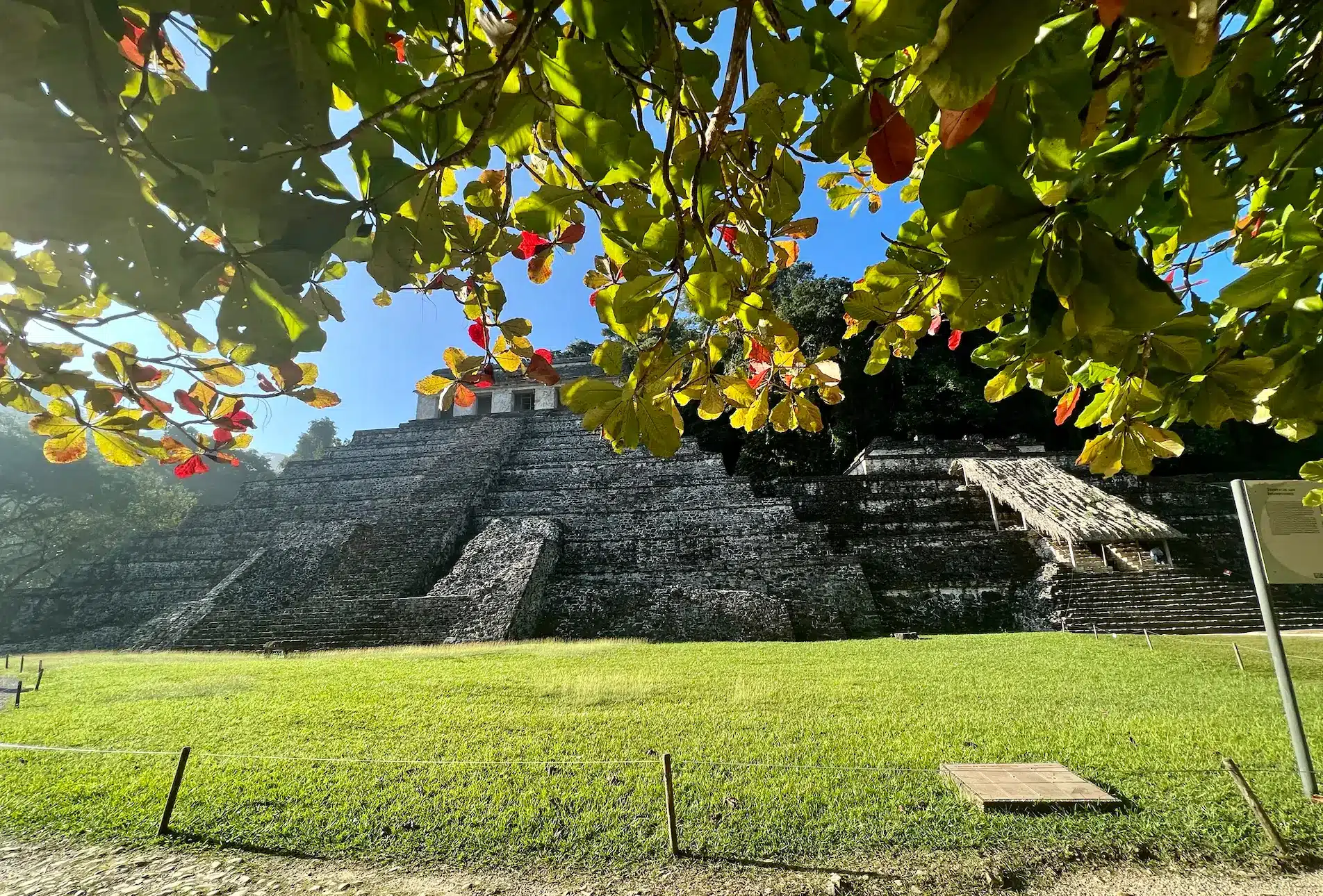 Palenque ruins at sunrise, Sober Mexico Tour