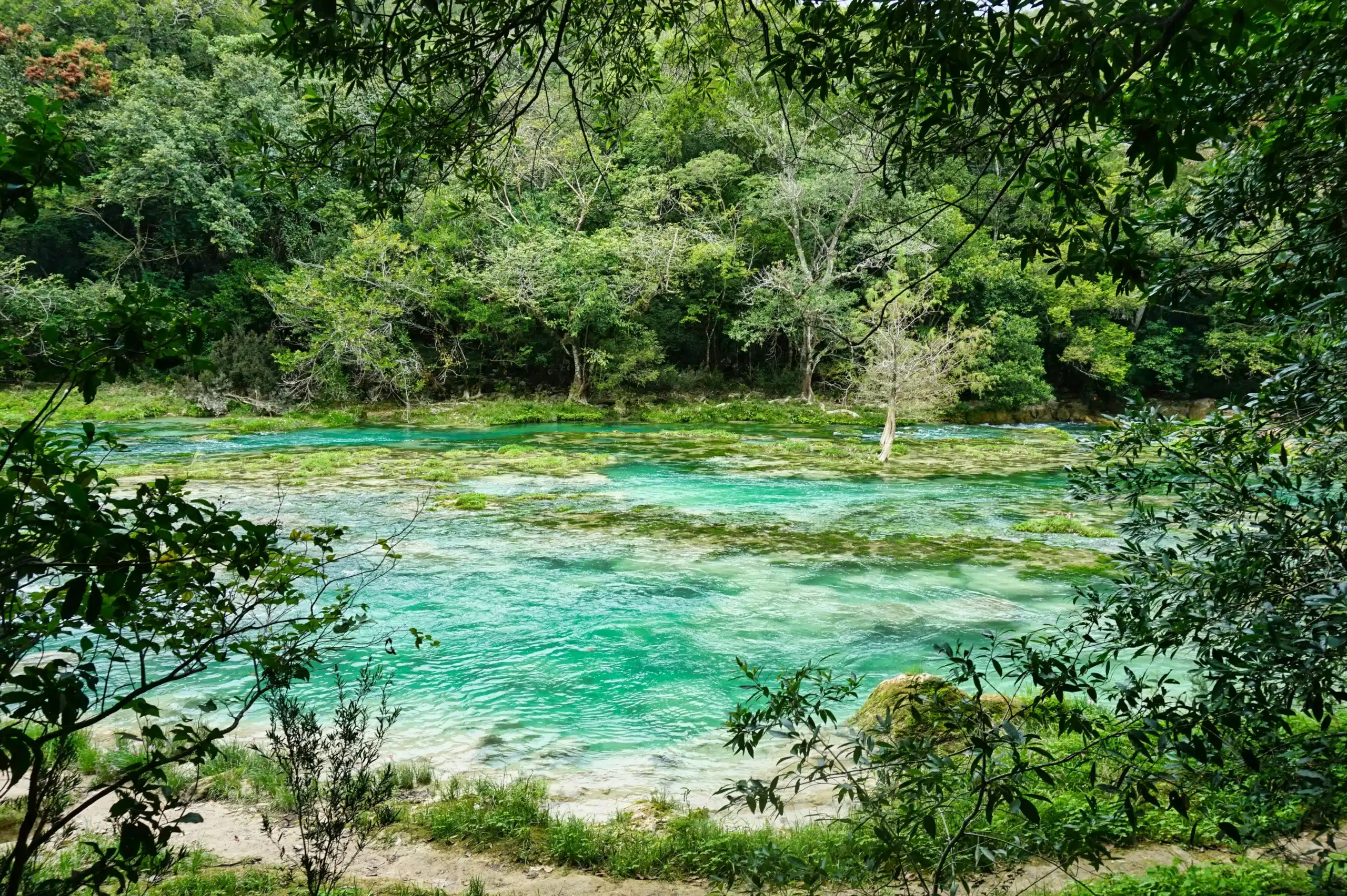 Journey to Palenque, Sober Mexico Tour