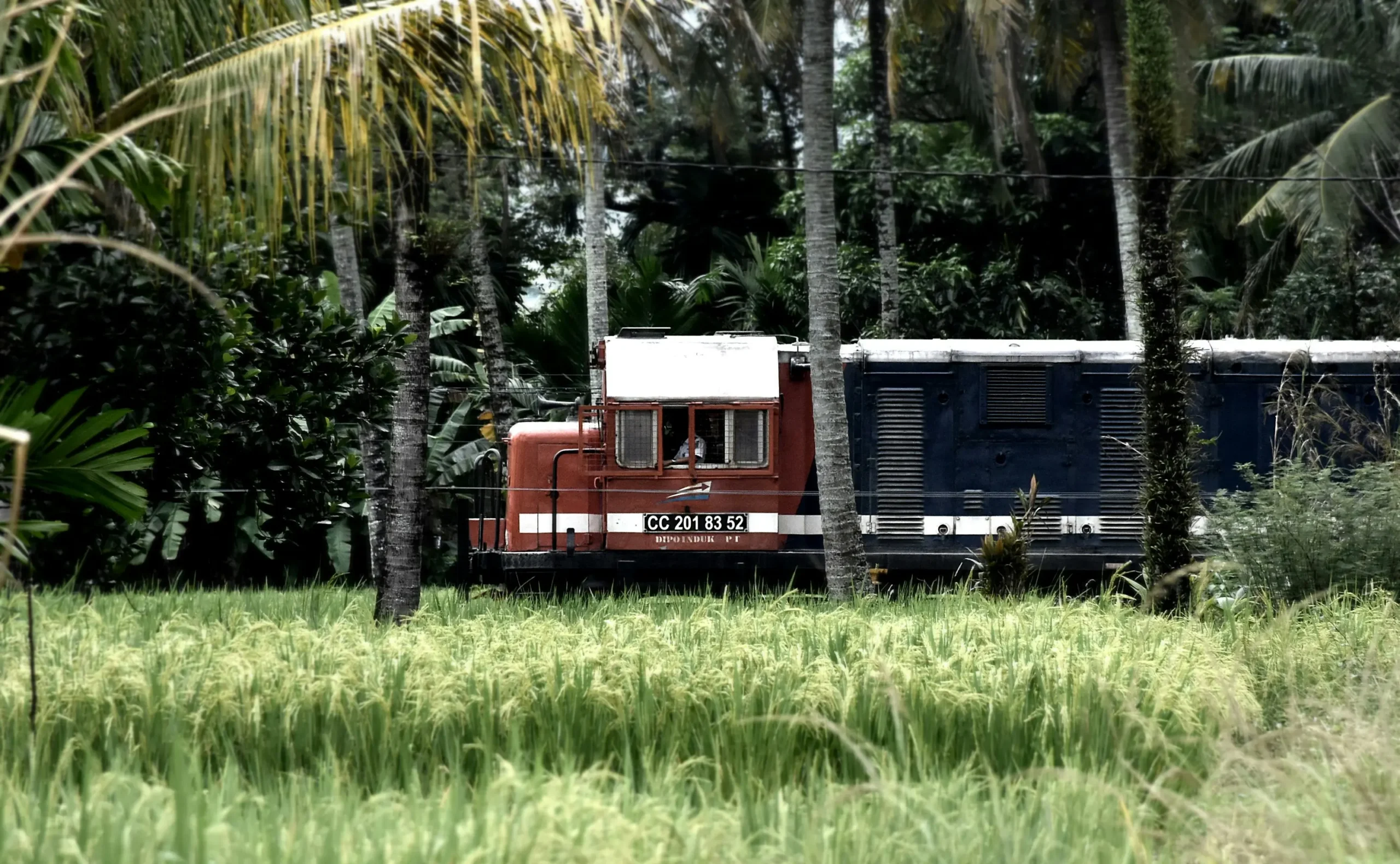 Tren Maya, Sober Mexico Tour